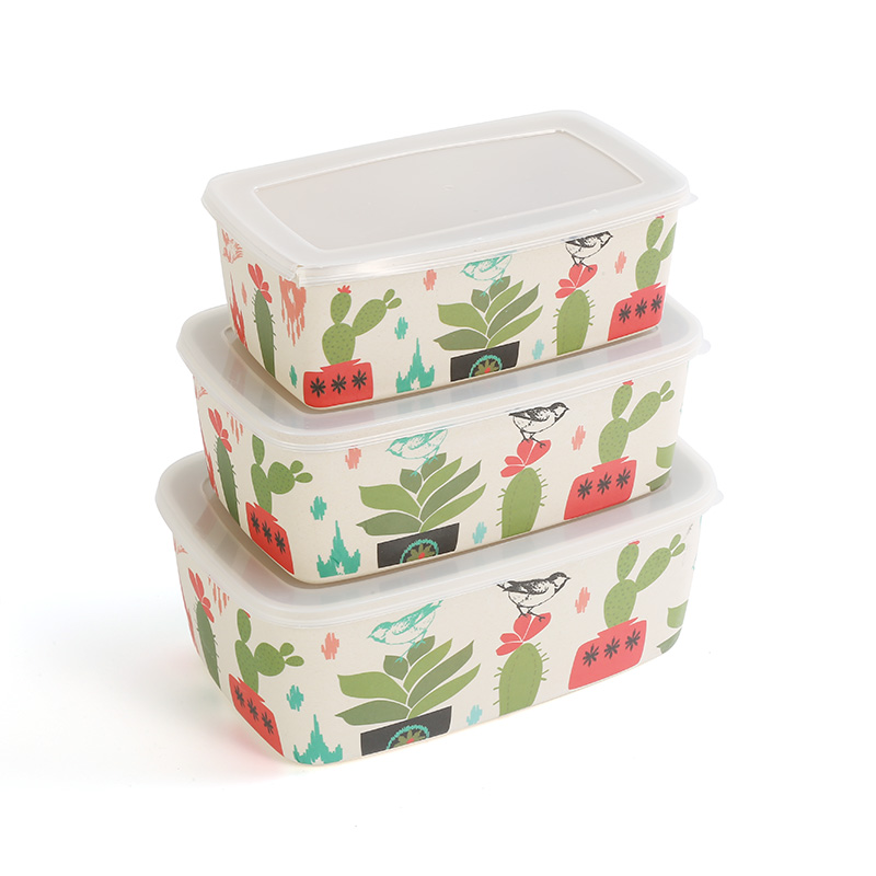 Bamboo's Bounty: Keeping Your Lunch Box Fresh and Fabulous